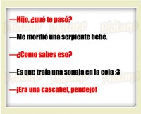 /album/fotogaleria-publicaciones-interesantes/a1509297-10153934575576062-1251621631315899992-n-jpg/