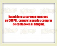 /album/fotogaleria-publicaciones-interesantes/a10401078-10153938914006062-8982908077410294587-n-jpg/