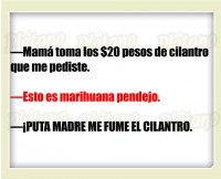 /album/fotogaleria-publicaciones-interesantes/a12390936-10153938892526062-5109641236368548526-n-jpg/