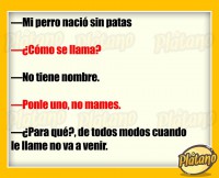 /album/fotogaleria-publicaciones-interesantes/a12360396-10153915286451062-793126800697616786-n-jpg/