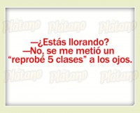 /album/fotogaleria-publicaciones-interesantes/a12347852-10153903947606062-917415896436262840-n-jpg/